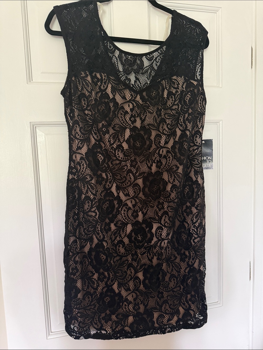 Fashion to Figure Black Lace Dress with Nude Slip